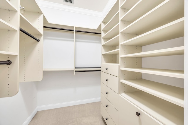 148 Cypress Cv, Jupiter, FL 33458 - spacious closet with light colored carpet