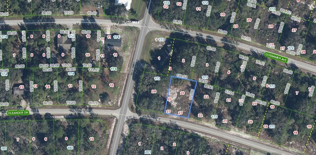 3153 Oleander Dr, Lake Placid, FL 33852