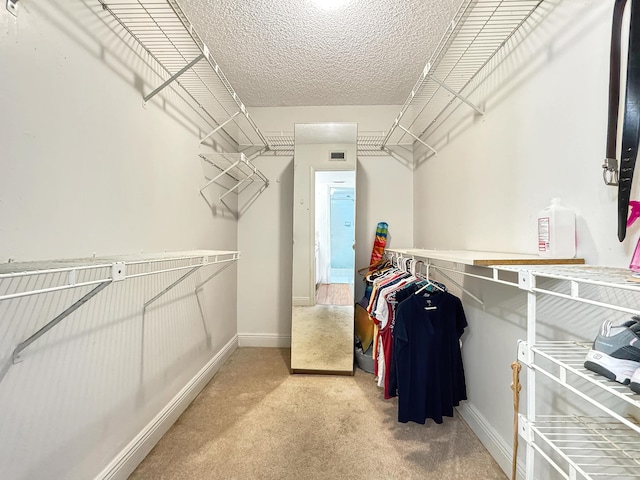 4960 E Sabal Palm Blvd Unit 206, Tamarac, FL 33319 - spacious closet featuring carpet flooring