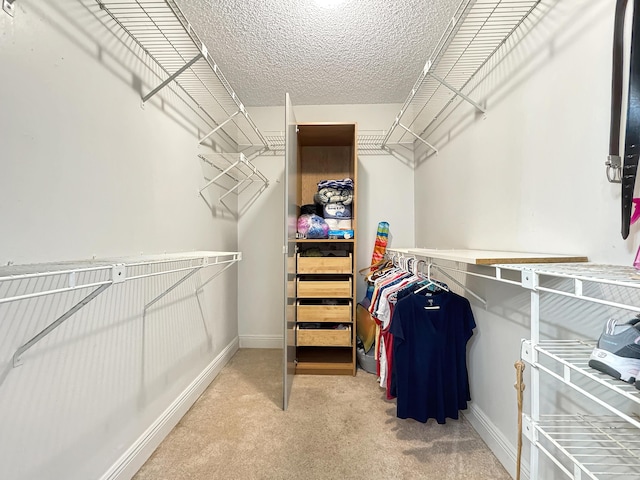 4960 E Sabal Palm Blvd Unit 206, Tamarac, FL 33319 - walk in closet with carpet floors
