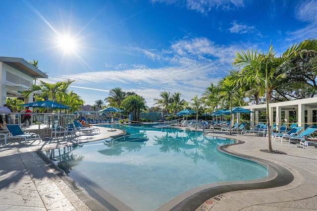 6 Stratford Dr E Unit D, Boynton Beach, FL 33436 - community pool featuring a patio and fence
