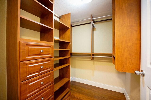 15035 Michelangelo Blvd Unit 106, Delray Beach, FL 33446 - spacious closet with dark wood-style flooring