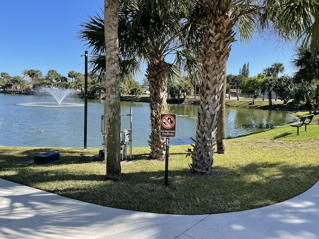 water view