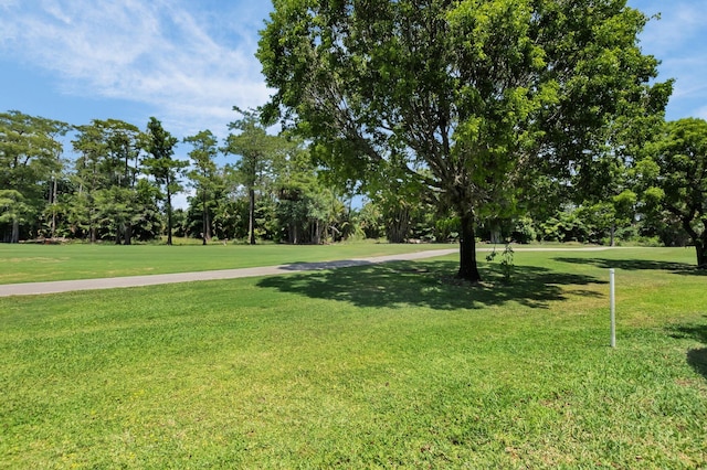 view of property's community featuring a lawn and view of wooded area