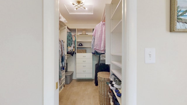 spacious closet featuring wood finished floors