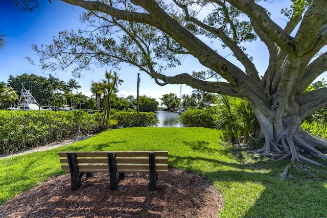 view of community featuring a water view and a yard