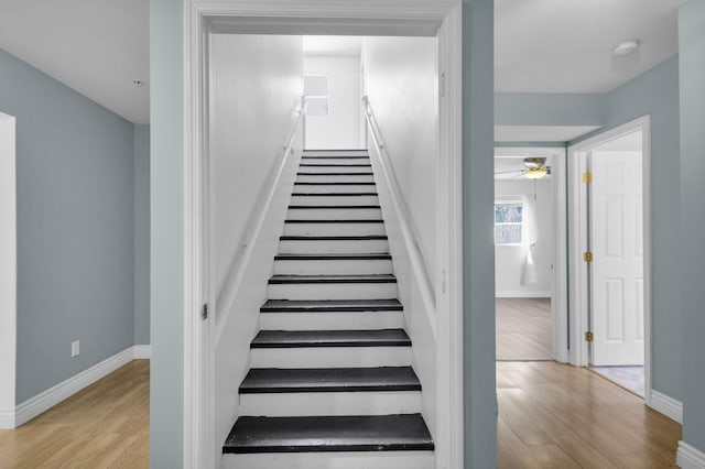 8888 SE Colony St, Hobe Sound, FL 33455 - stairway featuring wood finished floors, ceiling fan, and baseboards