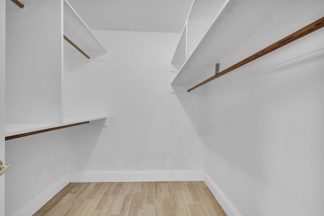 8888 SE Colony St, Hobe Sound, FL 33455 - spacious closet with light wood-style floors
