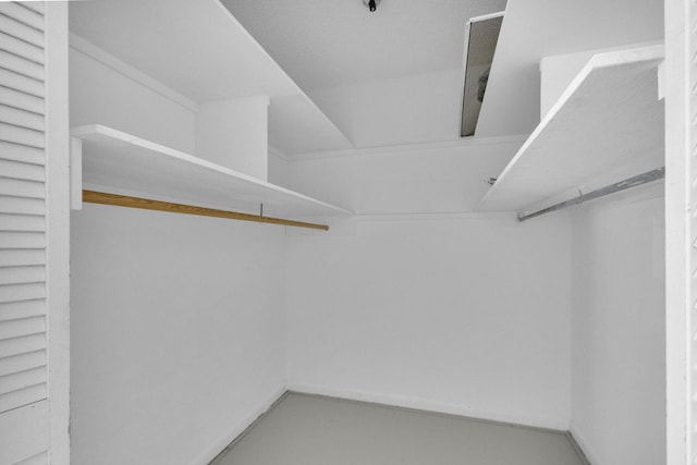 8888 SE Colony St, Hobe Sound, FL 33455 - view of walk in closet