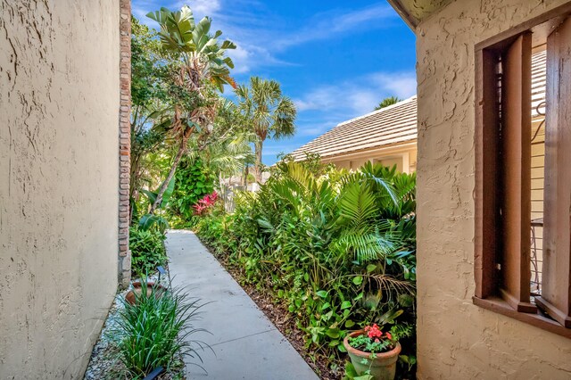 view of property exterior featuring stucco siding