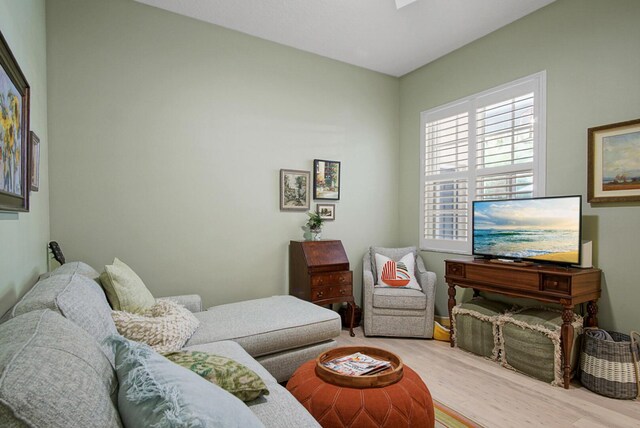 living area featuring wood finished floors