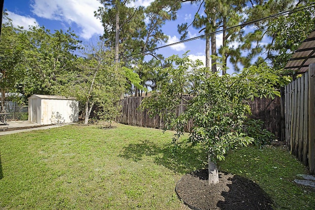 view of yard with a storage shed and an outdoor structure