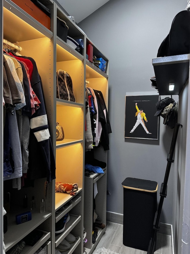 view of spacious closet