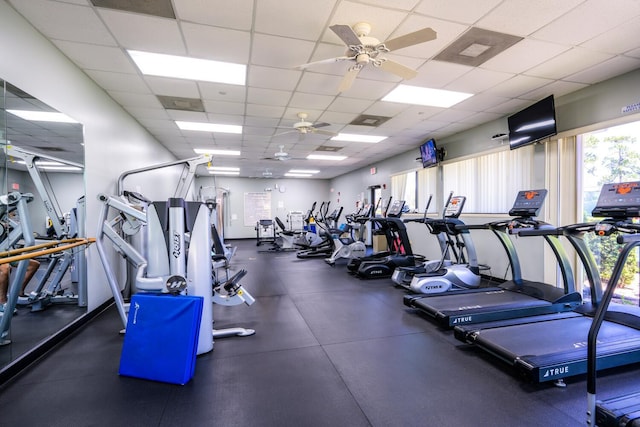 gym featuring a ceiling fan and a drop ceiling