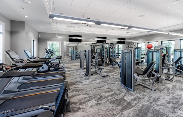 9865 SW Meridian Way, Stuart, FL 34997 - workout area featuring carpet and a tray ceiling