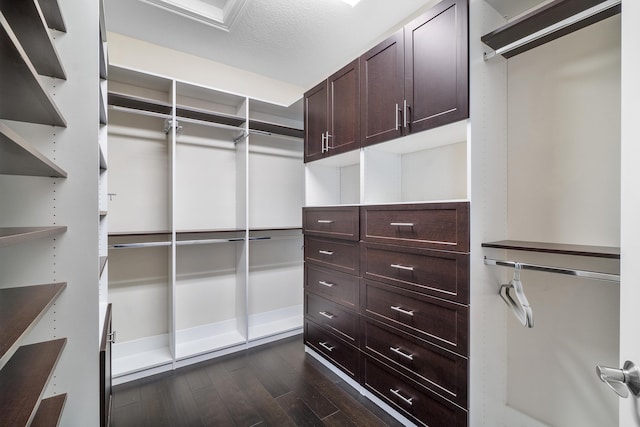 spacious closet with dark wood-type flooring