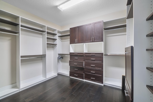 spacious closet with dark wood-style flooring