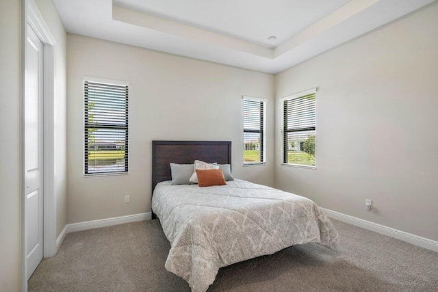 4817 Saint Armands Way, Westlake, FL 33470 - bedroom with carpet, baseboards, and a tray ceiling
