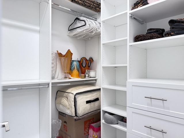 8803 Skyward St, Boca Raton, FL 33496 - view of walk in closet