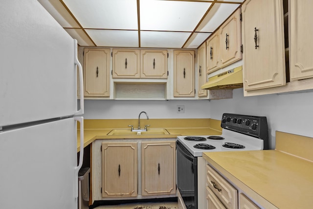 300 NW 30th Ct Unit 202, Pompano Beach, FL 33064 - kitchen featuring freestanding refrigerator, electric range, a sink, under cabinet range hood, and light countertops