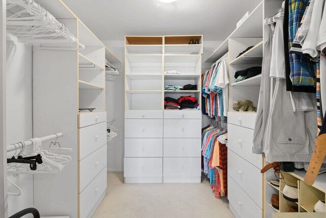 17187 Bay St, Jupiter, FL 33477 - spacious closet with light colored carpet
