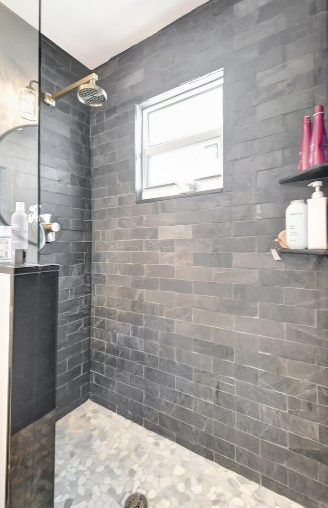 4838 Palmbrooke Cir, West Palm Beach, FL 33417 - full bath featuring a tile shower