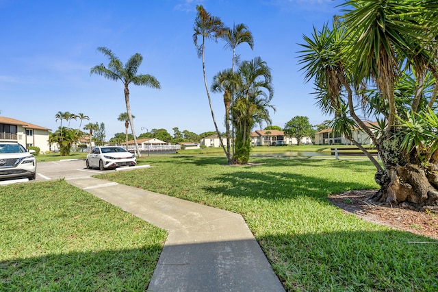 3561 Pine Tree Ct Unit A-2, Greenacres, FL 33463 - view of grassy yard featuring a residential view