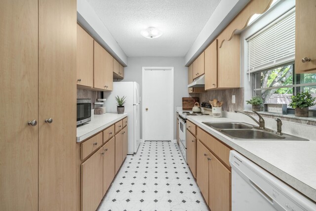 251 Grape Rd NW, Lake Placid, FL 33852 - kitchen featuring a sink, under cabinet range hood, white appliances, tasteful backsplash, and a textured ceiling