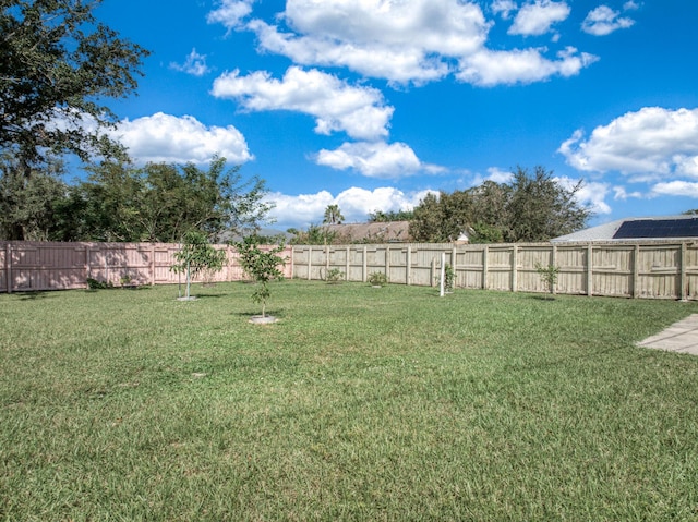 251 Grape Rd NW, Lake Placid, FL 33852 - view of yard
