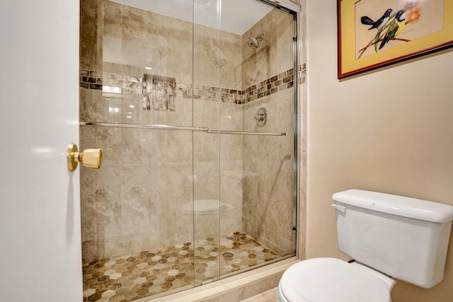 bathroom with toilet and a shower stall