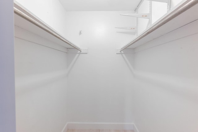 view of walk in closet