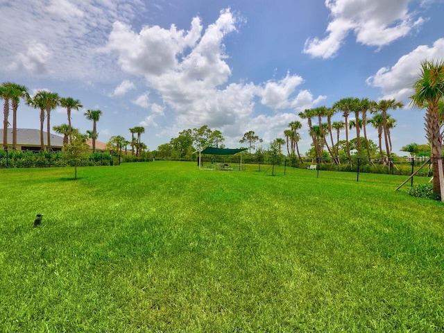 11416 SW Lake Park Dr, Port Saint Lucie, FL 34987 - view of yard