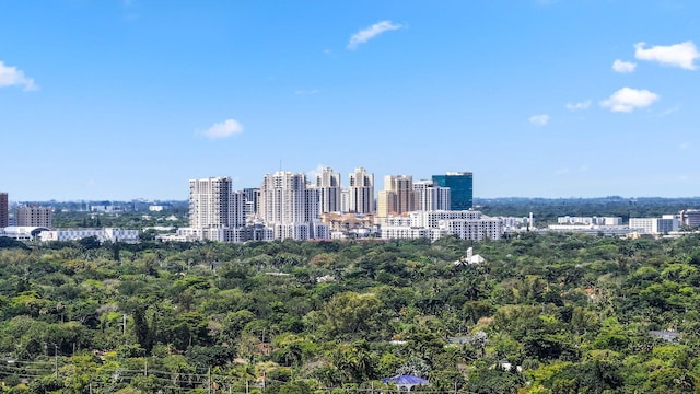 5830 SW 51st Ter, Miami, FL 33155 - city view with a forest