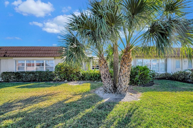 view of grassy yard