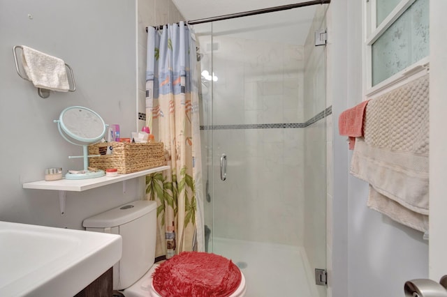 full bathroom featuring toilet, a shower stall, and a sink