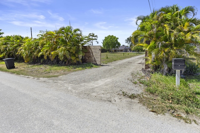 view of dirt / gravel driveway