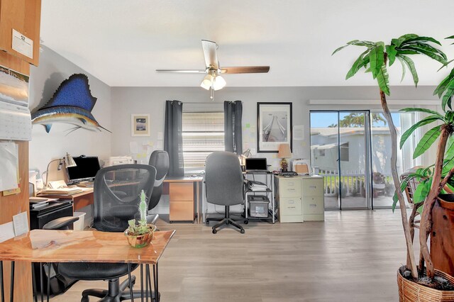 2115 SW 22nd St, Boynton Beach, FL 33426 - office area featuring a ceiling fan and light wood finished floors