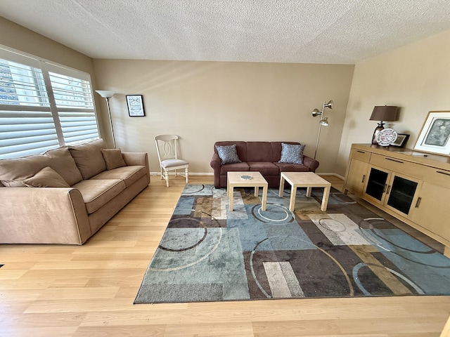 2060 Newport N, Deerfield Beach, FL 33442 - living room featuring a textured ceiling, light wood finished floors, and baseboards