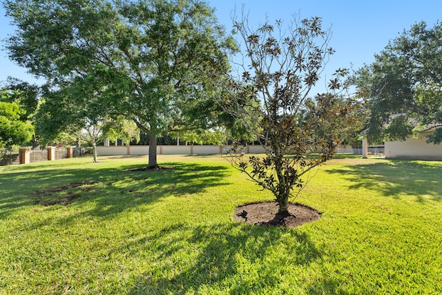 1629 SE Tradition Trce, Stuart, FL 34997 - view of yard