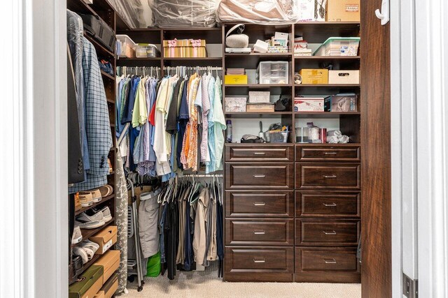 12209 Boca Reserve Ln, Boca Raton, FL 33428 - spacious closet featuring carpet