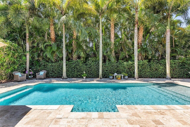 12209 Boca Reserve Ln, Boca Raton, FL 33428 - view of swimming pool