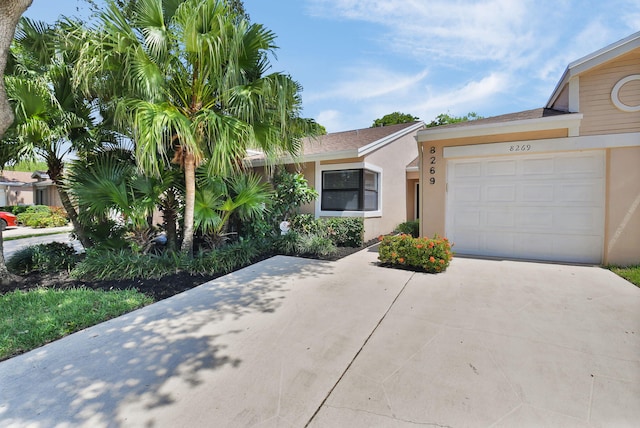 8269 Springtree Rd, Boca Raton, FL 33496 - view of front of property with driveway, stucco siding, and an attached garage