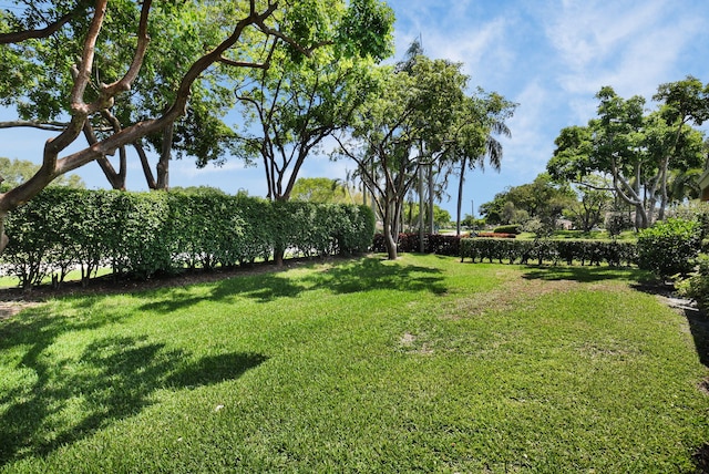 8269 Springtree Rd, Boca Raton, FL 33496 - view of green lawn