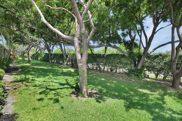 8269 Springtree Rd, Boca Raton, FL 33496 - view of green lawn