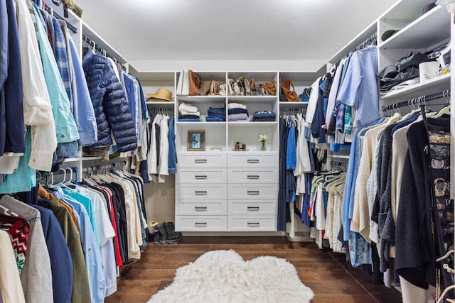 9544 Mockingbird Trl, Jupiter, FL 33478 - walk in closet featuring dark wood-type flooring