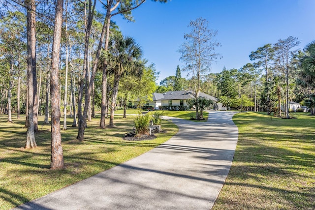 9544 Mockingbird Trl, Jupiter, FL 33478 - view of front facade featuring driveway, a front yard, and view of wooded area
