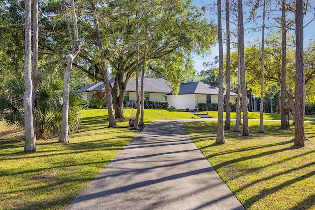 9544 Mockingbird Trl, Jupiter, FL 33478 - view of front of house with asphalt driveway and a front lawn