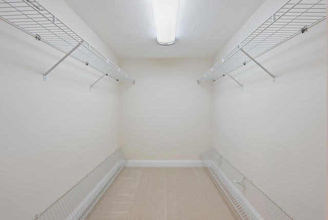 350 Beach Rd Unit 503, Tequesta, FL 33469 - spacious closet with light colored carpet