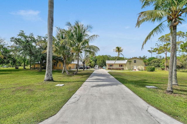 11151 88th Rd N, Palm Beach Gardens, FL 33412 - view of front facade featuring a front yard and driveway