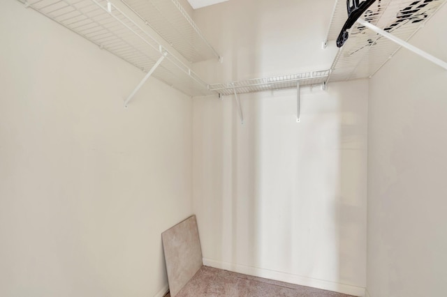 spacious closet with light colored carpet